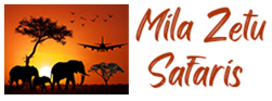 Milazetu Safaris